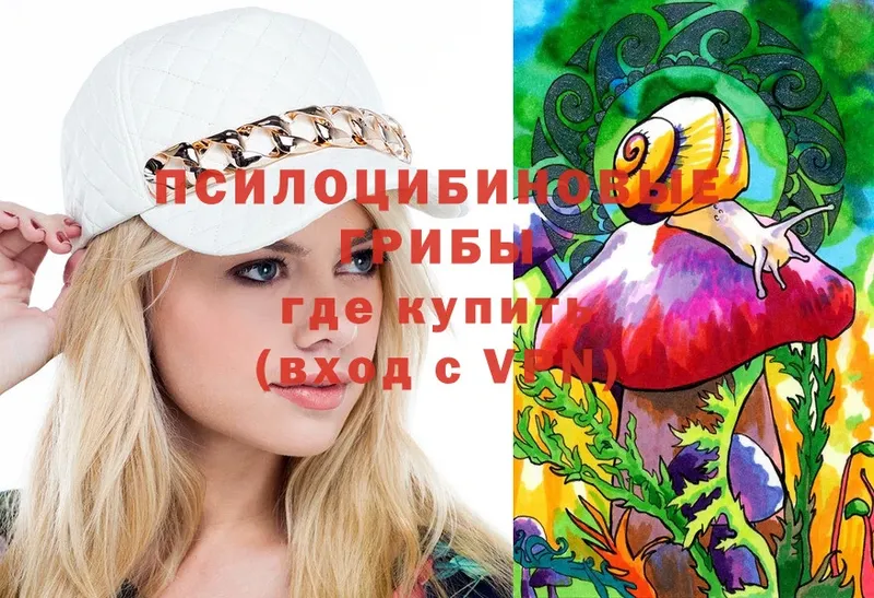 Псилоцибиновые грибы Psilocybine cubensis  гидра как войти  Островной 